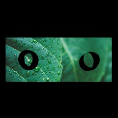 OBSRVR_  - Dark Green