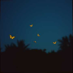 GUT NACHT, GOOD NIGHT!