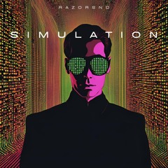 Simulation