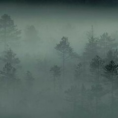 Ambient 26