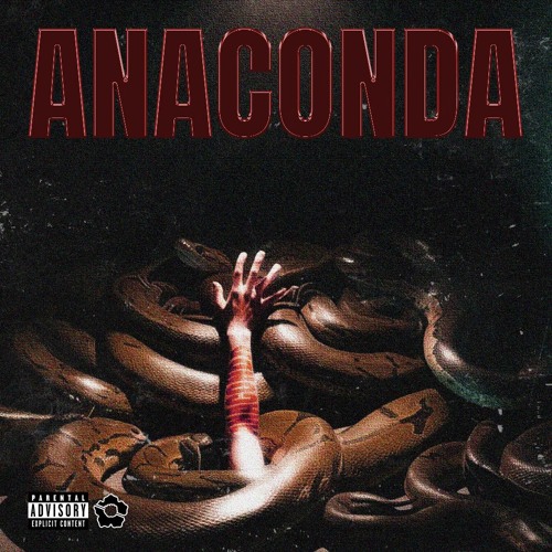 Anaconda