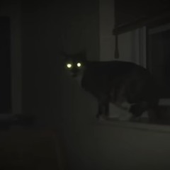 i feel nothing at all