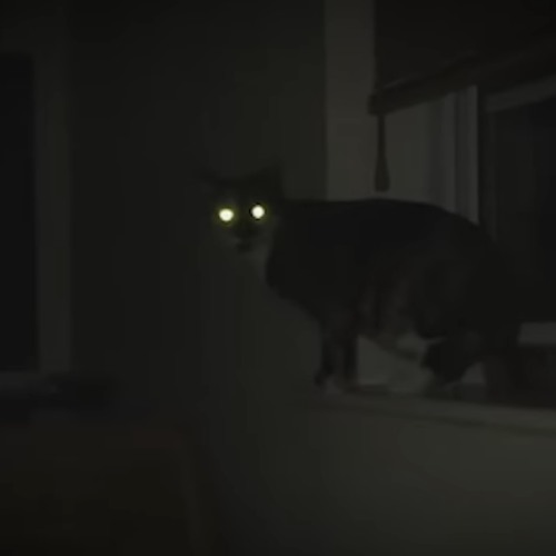 i feel nothing at all