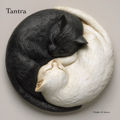 Tantra
