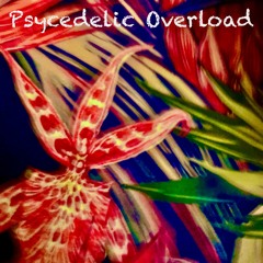 Psycedelic Overload