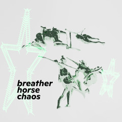 breather:horse:choas