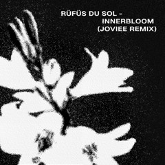 Innerbloom (Joviee Remix)