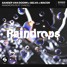 Sander Van Doorn x Selva x Macon - Raindrops (Sebastian Frank Remix)