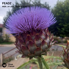 Feadz - 24 Juillet 2024