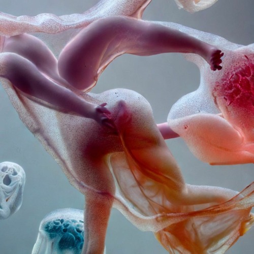 Care Package 2 (from PARALYSIS ERA)