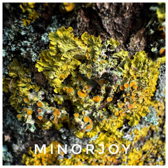 XOX project Live set 21-3-24