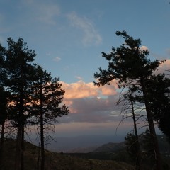 Spicy Jerky Joker Junkie