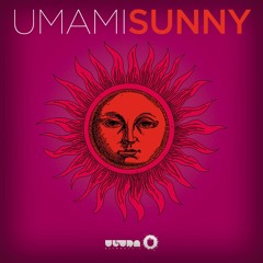 Sunny (U So Witty Remix)
