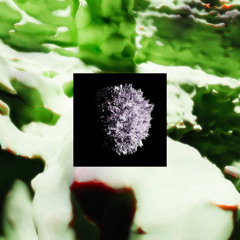 Sotto Lo Stesso Albero (x Greta)