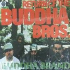 Return Of The Buddha Bros.