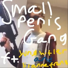 Small Penis Gang Bass Boosted