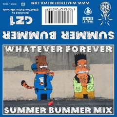 SUMMER BUMMER MIX