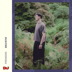 Premiere: Brawni ‘Plonk’