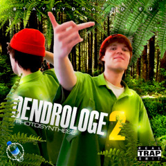 DENDROLOGE 2: PHOTOSYNTHESE [FULL STREAM]