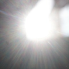 r@vntc/25.08.2024