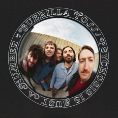 Guerilla Toss - Psychosis Is Just a Number