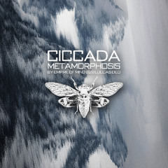 Ciccada Metamorphosis 001 by Empire Of Mind b2b Luccas Deo