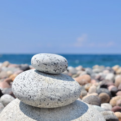 pebble on the shore (Williams & Glasson)