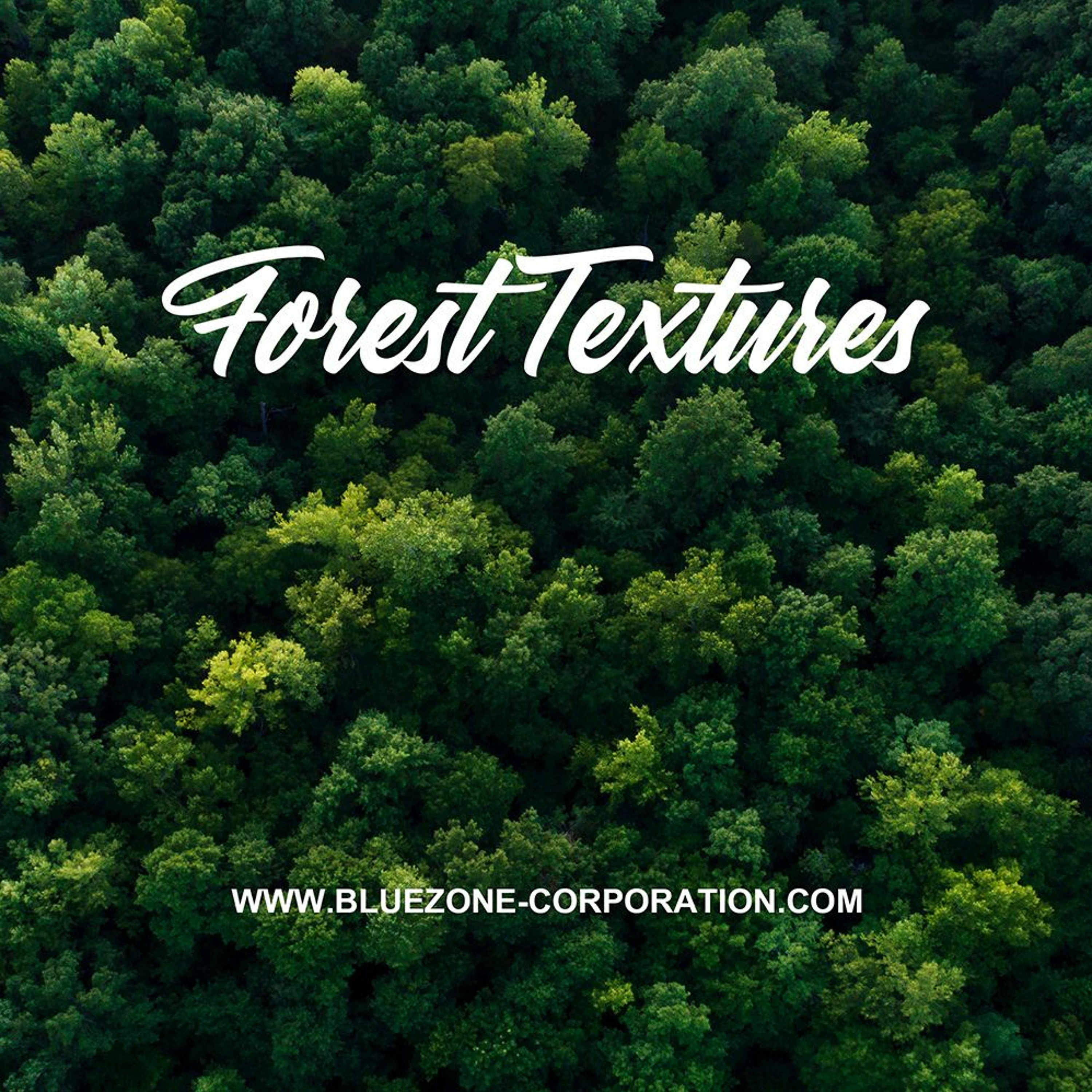Bluezone Corporation