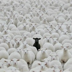 Too Blxck - ß.O.A.T