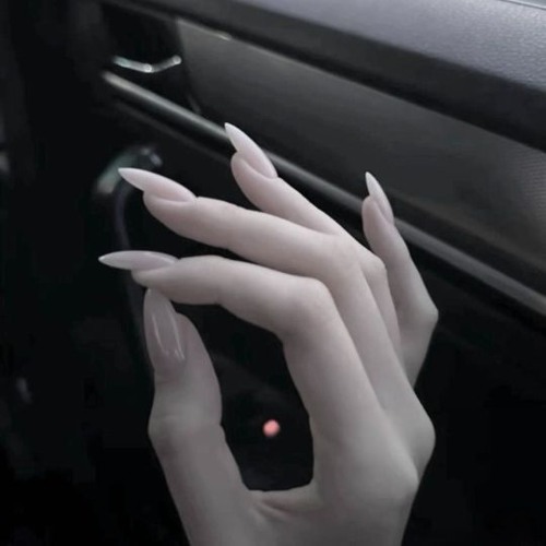 Wouldn't Ever Trust You