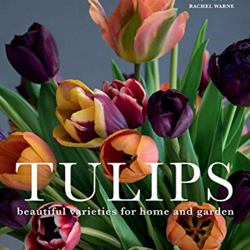 [Free] PDF 💓 Tulips: Beautiful Varieties for Home and Garden by  Jane Eastoe &  Rach