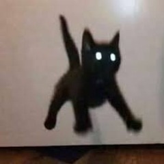 {Requested} CatMeowing =/= A Lil' Ant Funches Megalolazing