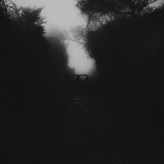⠀⠀⠀⠀⠀