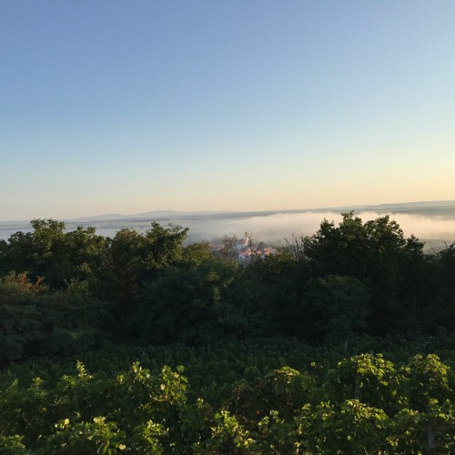 2020August | Korruptcop - Live At Voice Of Palkonya Festival Mix