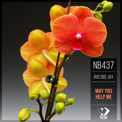 Iris Dee Jay feat. Elgin Rodriguez - May You Help Me (Original Mix)