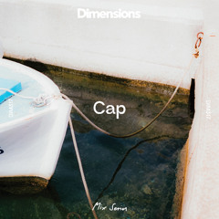 DIM317 - Cap