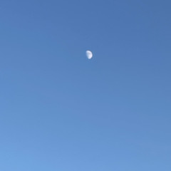 white moon