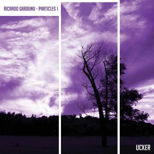 Lost In Ether | P R E M I E R E | Ricardo Garduno - Day Zero [Ucker Records]