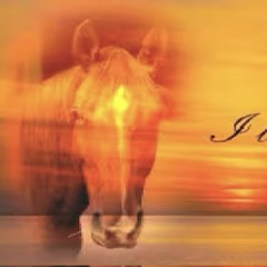 eyes on the sunrise [for sampling]