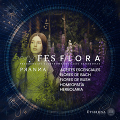 FA Christmas Bell, Manifestación de deseos, abundancia, concretar intenciones