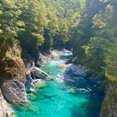 Solstice Yoga Nidra 2022