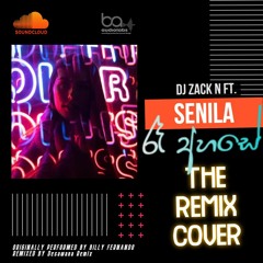 Raa Ahase (The Remix Cover)- Senila ft. Zack N