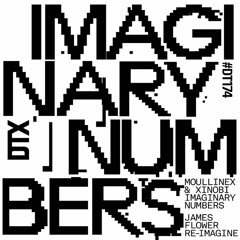 Moullinex & Xinobi - Imaginary Numbers (James Flower Re - Imagined)