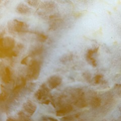 STS349sushi - Assignment 1 - everythings gonna be alright