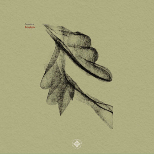 Delafore - Briophyta (Out 01/02)