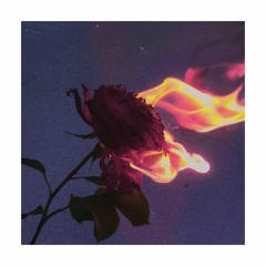 PREMIERE: Sideluv - Unconditional Love (sunflwr Remix) [55 MUSIC]