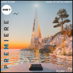 PREMIERE : Amir Telem - Radesh (Original Mix) [Flow Music]