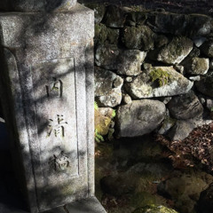 김푸름 - 안녕(cover)