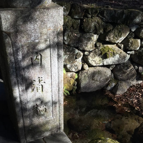 김푸름 - 안녕(cover)