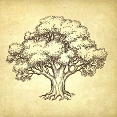 The Parable of the oak leaf.mp3